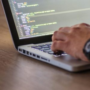 pexels-goumbik-574071 pexels-goumbik-574071